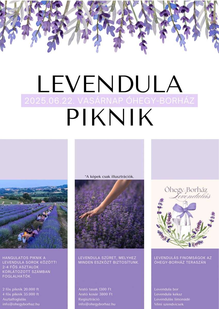 Első levendula szüret
